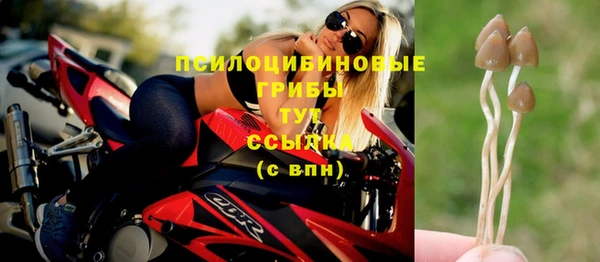 хмурый Вязьма
