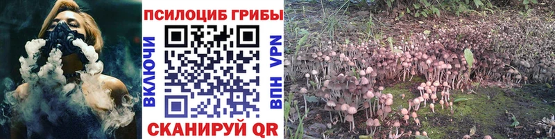 Купить где  Лабинск  Псилоцибиновые грибы Magic Shrooms 